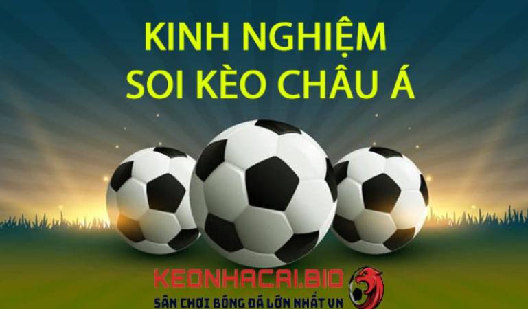 Trang web cá cược bóng đá hàng đầu cấp độ Vin777 - Vin777
