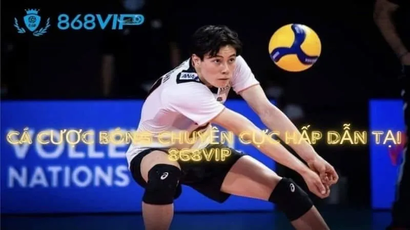 Pk88 cung cấp cho người chơi cá cược những chương trình khuyến mãi độc quyền và vô cùng giá trị - Pk88