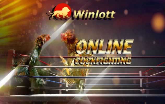 7Ball Us – Cổng chơi game an toàn nhất - 7Ball