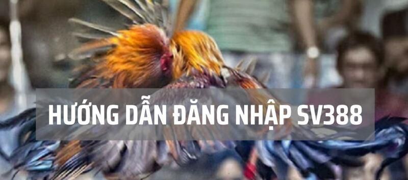 Điều gì làm cho nền tảng 9Dbet trở nên độc đáo? - 9Dbet