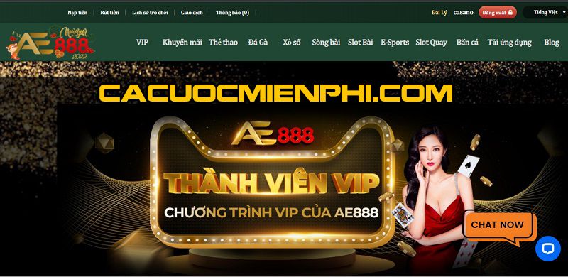 Những yếu tố nào đã góp phần vào sự thành công của một công ty game tầm cỡ Rwin? - Rwin