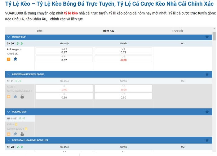 Chiến lược giúp những người chiến thắng ở cấp độ Sa88 kiếm được lợi nhuận cao hơn nữa vào năm 2026 - Sa88