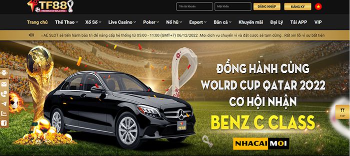 Trang web cá cược bóng đá tốt nhất cung cấp tỷ lệ cược cấp độ Stake/Stake cho năm 2026 - Stake