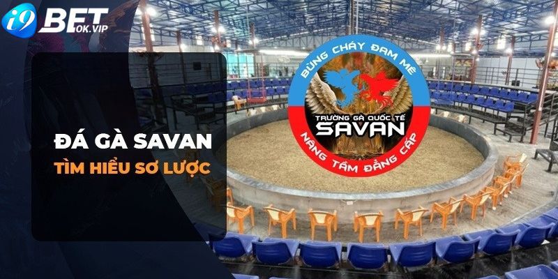 Hi88 sẽ tặng 88000 lượt đặt cược miễn phí - Hi88